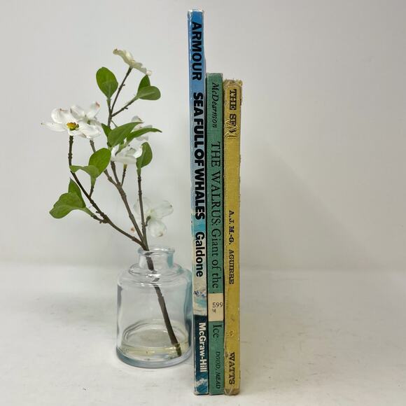 Three Vintage Hardcover Ocean Books Childrens Ex Library Whales Walrus Sea - Picture 1 of 8